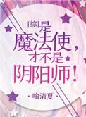 [综]是魔法使才不是阴阳师
