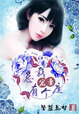 总裁宠妻有个度
