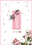 倾城小佳人君醉绮罗香