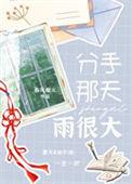 分手那天雨很大