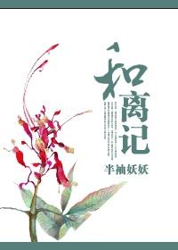 和离记(大唐商女传)