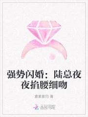 强势闪婚:陆总夜夜掐腰细吻