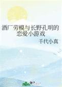 (综漫同人)酒厂劳模与长野孔明的恋爱小游戏