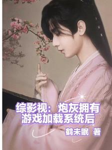 综影视:炮灰拥有游戏加载系统后