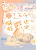为了生存,猫猫决定