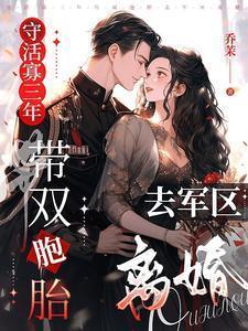 守活寡三年,带双胞胎去军区离婚