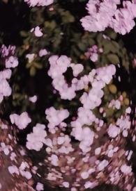 西沉寂静地 校园 h